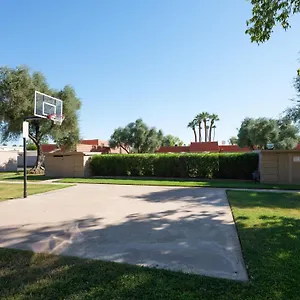 Modern Tropics Scottsdale